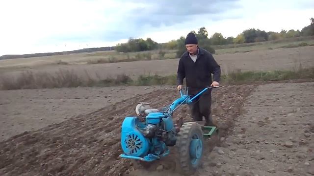 Культиватор к мотоблоку МТЗ в работе... смотреть онлайн