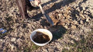 Жеміс ағаштарын күтіп баптау жеміс ағашын отырғызу жеміс ағашын кесу жеміс ағаштарын шырпу жемістер