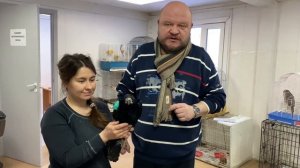 Видеолекции о птицах: лечение грача