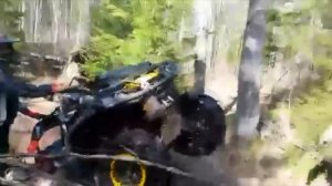 "Цыганская песня" (Тимур Шаов)