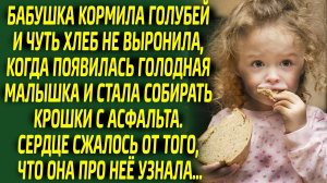 Бабушка опешила, увидев как малышка собирает крошки хлеба. Услышав её историю, она чуть не заплакала