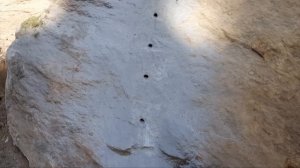 Тест перфоратора DeWalt ( ДеВольт )  D25143K, 900W в экстремальных условиях.