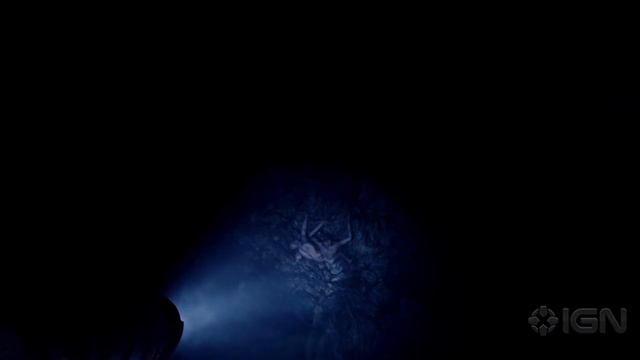 Everything You Need to Know About Sons Of The Forest [UPDATED]