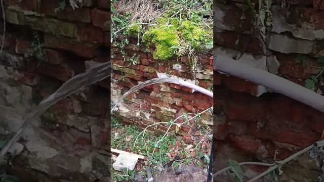 1.5куба отличной водички???? #абиссинскаяскважина #скважинасвоимируками
