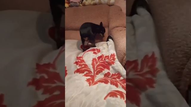 1000006624.mp4