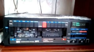 вильма 207