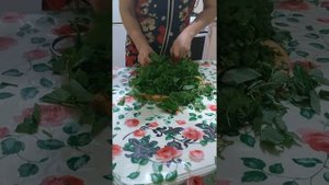 Сушка сныти