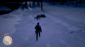 RDR2 где найти ЛЕГЕНДАРНОГО БИЗОНА? Комплект одежды бизон призрак в Red Dead Redemption 2.