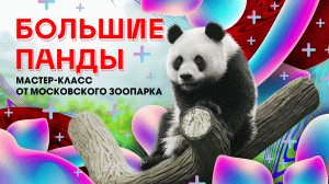 «Поколение М» и Московский зоопарк. Большие панды