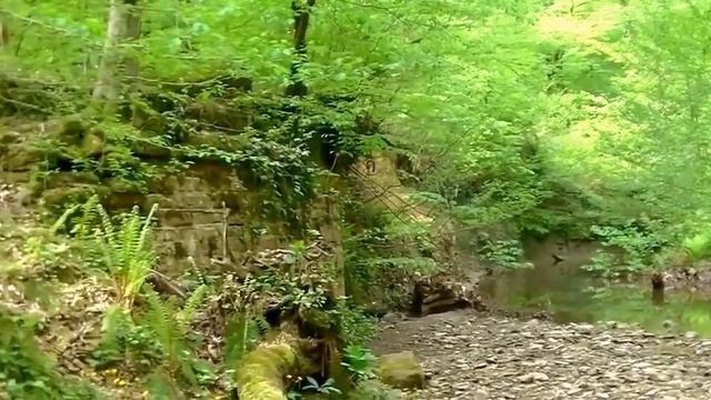 24_04_2016_Прогулка по реке Агура.mp4 смотреть онлайн