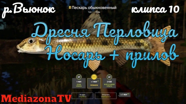 Русская Рыбалка 4 р.Вьюнок Дресня Носарь + прилов 06.05.23