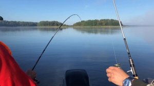 Рыбалка на вуоксе на Фрегат 450 и Меркури 20 4-х тактном. Щуки и один окунь.