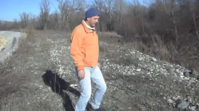 Хлесткий удар «кошачьей лапой» смотреть онлайн