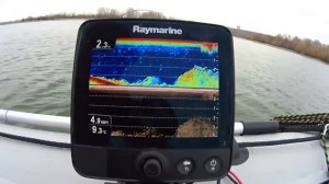 Эхолот Raymarine Dragonfly 6. Изображение рыбы