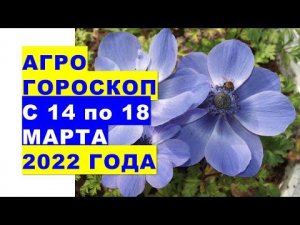 Агрогороскоп с 14 по 18 марта 2022 года