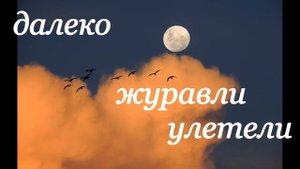 Далеко журавли улетели / песня под гитару /