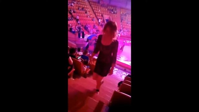 Цирк Филатовых май 2019 смотреть онлайн