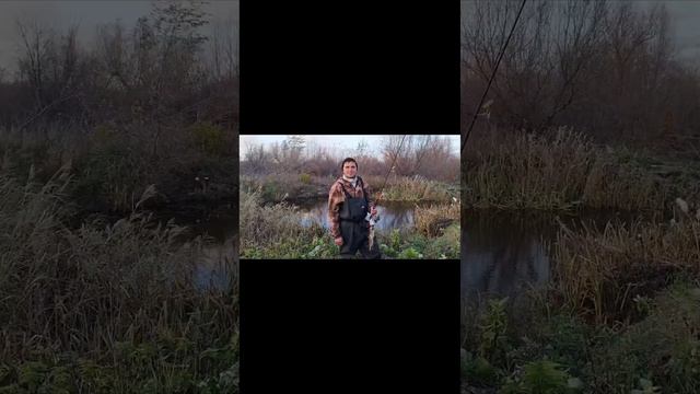 Вячеслав Анатольевич, г. Стерлитамак, с днем рождения тебя!!!! ❤❤❤ смотреть онлайн