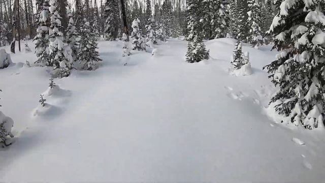 polaris 850 155 Dec 2021 смотреть онлайн