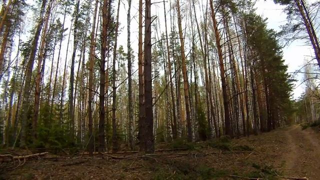 Рамка биолокационная, как тренироваться и понимать смотреть онлайн