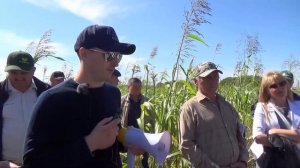 Покровные культуры. Как добиться всходов? Что сеять? В чем польза?