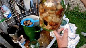 Засолка грибов, рецепт (кулачки)