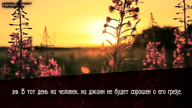 Мансур Мухиддин (Mansour Mohieddine). Сура  ар - Рахман  (Милостивый). HD