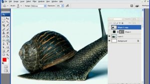 Adobe Photoshop CS3 Tutorial: Pentool Vexeling