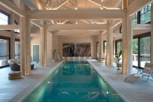 Дом с бассейном из клееного бруса в современном стиле: бассейн, баня, хамам. Палекс