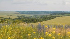 Белгородская область, Волоконовский район