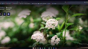 How to bypass linkvertise and workink