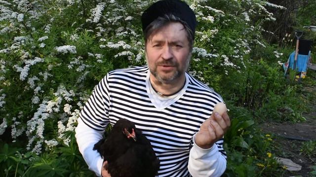 Черная курица смотреть онлайн