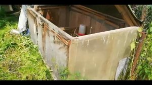 Зимний курятник с инфракрасной лампой своими руками