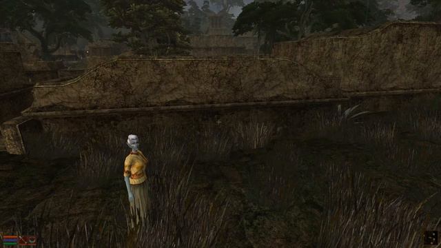 Morrowind with the sounds and graphics overhaul смотреть онлайн
