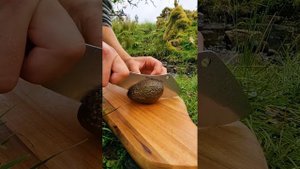 Cooking Crispy Cheesy Chicken Served in a Bowl with Parmesan in the Wild 🔥 ASMR FOOD COOKING OUTDOO