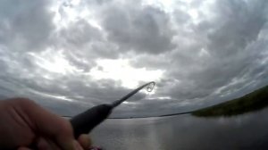 База Темрючанка лиман Горький, хороший окунь, жерех, Щука не ловилась, Pike, perch, Рыбалка
