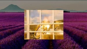 Poeme  Lancome новый аромат в коллекции БОНАМОР по мотивам Поэма Ланком