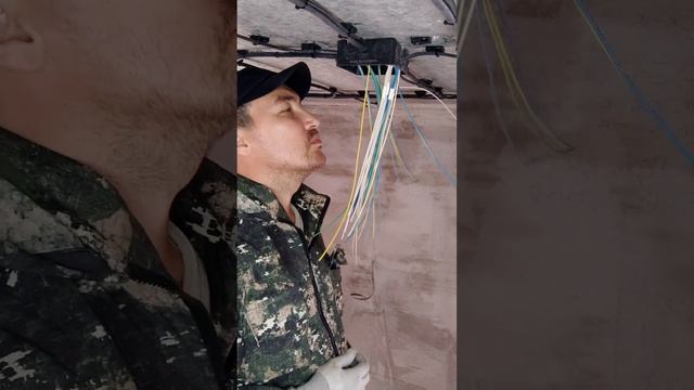 #собираемпучкивраспредкоробке