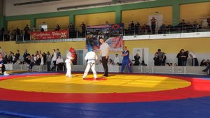 29 апреля 2023 г.