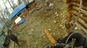 строим баню в тайге