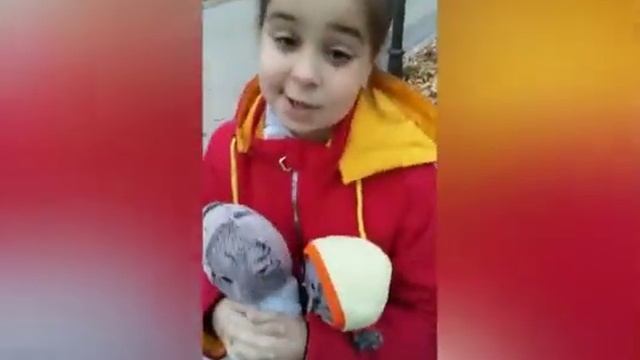 КАК Я ЗАКОНЧИЛА ПЕРВУЮ ЧЕТВЕРТЬ?НА ВСЕ ПЯТЁРКИ!(КУСОК ПРОШЛОГО ВИДЕО) смотреть онлайн