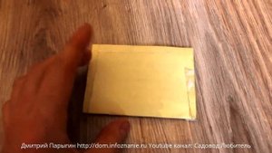Как хранить семена растений до весны