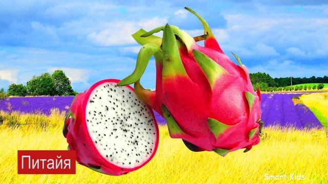 Фрукты ягоды и овощи для детей часть 2| Учим названия Чудо Ягод Фруктов и овощей