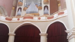 Звуки органа. Софийский собр в Полоцке