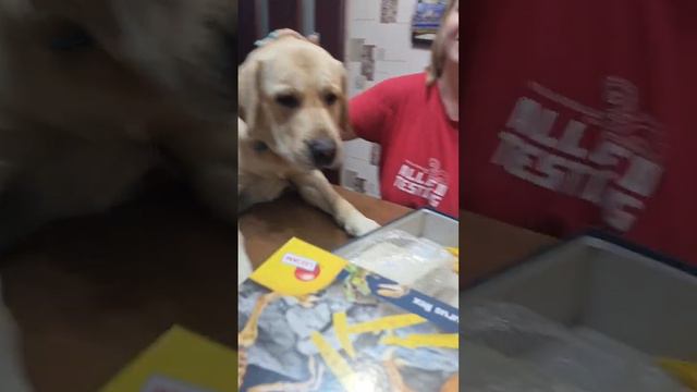 Раскопки динозавров 🦖🐲 смотреть онлайн