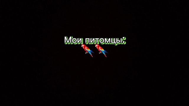 Тренд