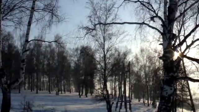 Прокопьевск,Тырганский парк,Лысая гора.