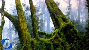 15 Oldest Living Things on Earth