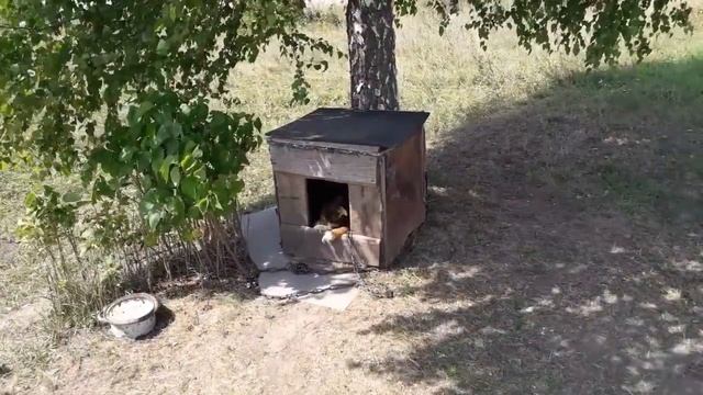 Рандомная неделя Август/ День 4-й/Моё хозяйство