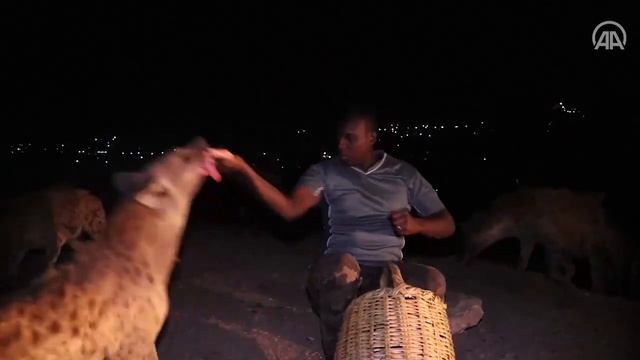 Ethiopian hyena tamer hopes to grow spectacle into circus смотреть онлайн